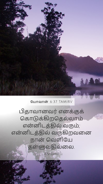 யோவான் 6:37 TAMIRV Bible Verse Image