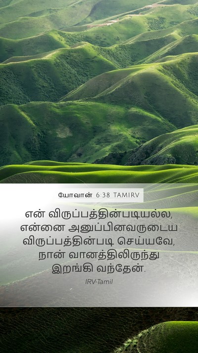 யோவான் 6:38 TAMIRV Bible Verse Image