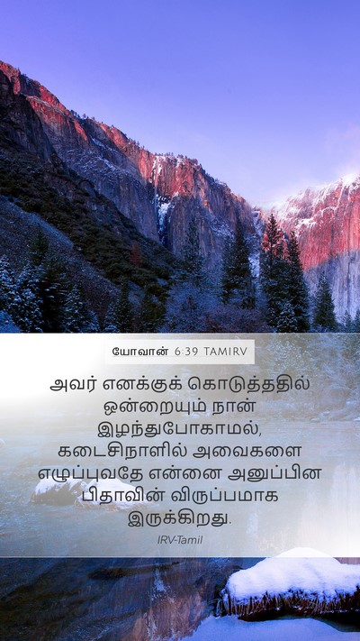 யோவான் 6:39 TAMIRV Bible Verse Image