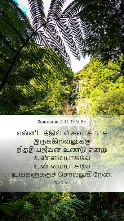 யோவான் 6:47 TAMIRV Bible Verse Image