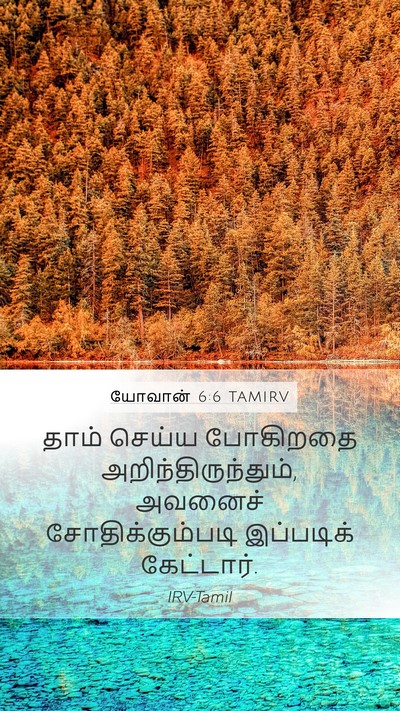 யோவான் 6:6 TAMIRV Mobile Phone Wallpaper - தாம் செய்ய - Mobile Bible Verse Wallpaper