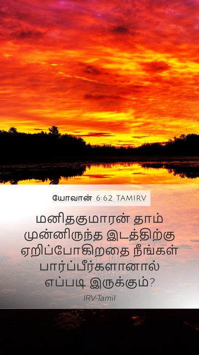 யோவான் 6:62 TAMIRV Bible Verse Image