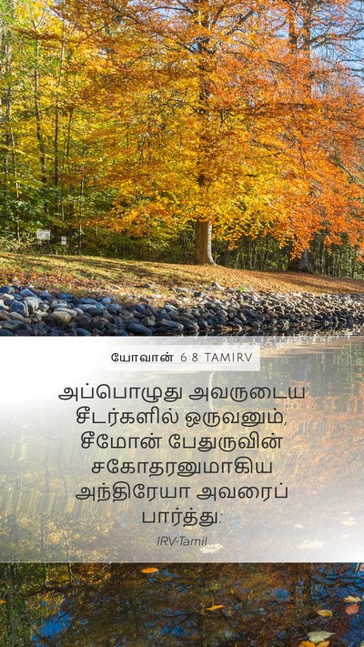 யோவான் 6:8 TAMIRV Bible Verse Image