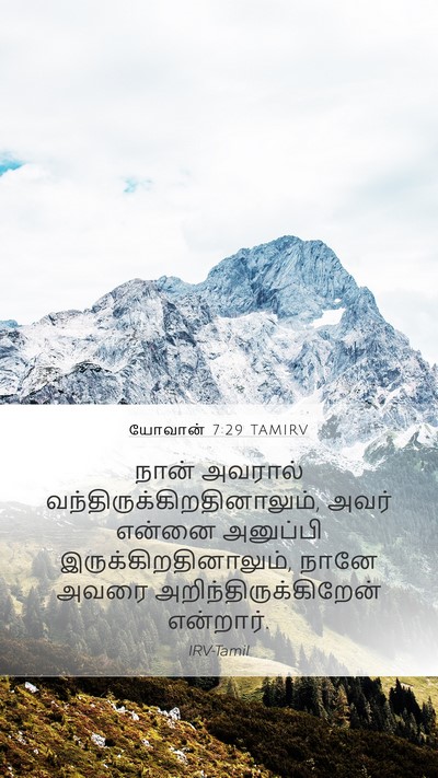 யோவான் 7:29 TAMIRV Bible Verse Image