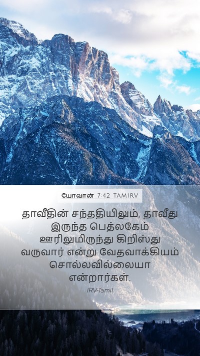 யோவான் 7:42 TAMIRV Mobile Phone Wallpaper - தாவீதின் - Mobile Bible Verse Wallpaper