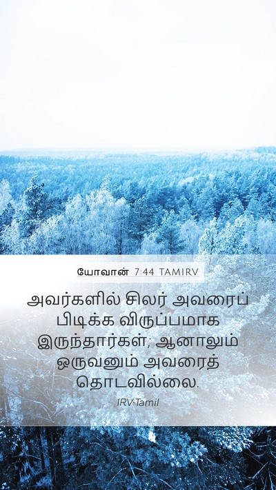 யோவான் 7:44 TAMIRV Mobile Phone Wallpaper - அவர்களில் சிலர் - Mobile Bible Verse Wallpaper