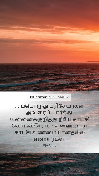 யோவான் 8:13 TAMIRV Bible Verse Image