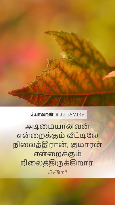 யோவான் 8:35 TAMIRV Bible Verse Image