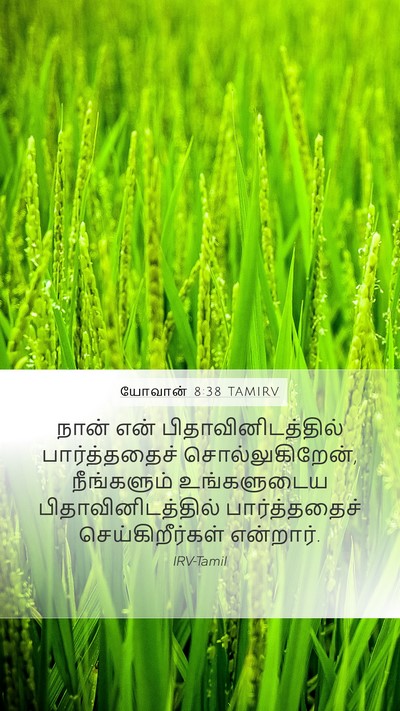 யோவான் 8:38 TAMIRV Bible Verse Image