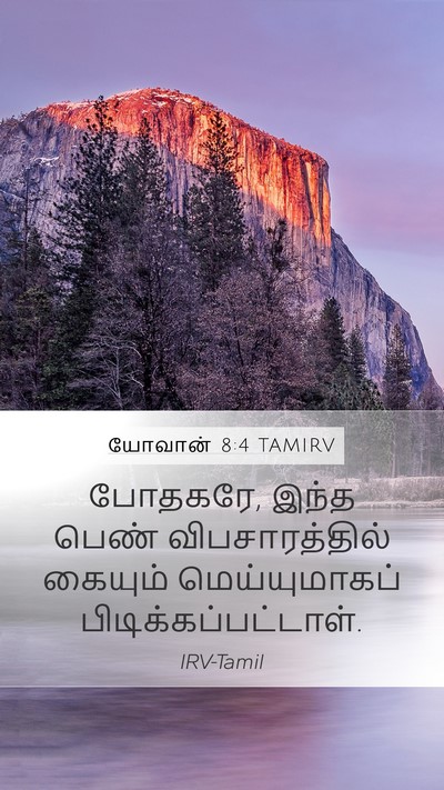 யோவான் 8:4 TAMIRV Mobile Phone Wallpaper - போதகரே, இந்த பெண் - Mobile Bible Verse Wallpaper
