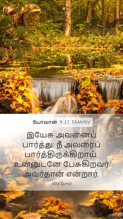 யோவான் 9:37 TAMIRV Bible Verse Image