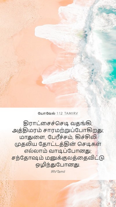 யோவேல் 1:12 TAMIRV Bible Verse Image