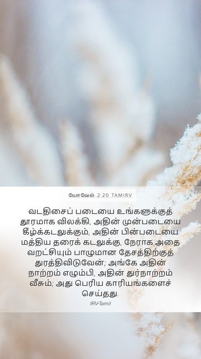 யோவேல் 2:20 TAMIRV Mobile Phone Wallpaper - வடதிசைப் படையை - Mobile Bible Verse Wallpaper