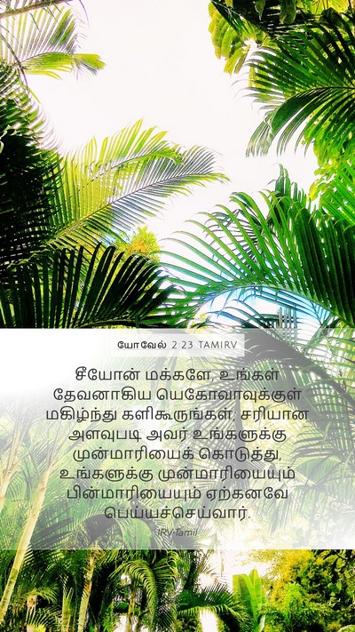 யோவேல் 2:23 TAMIRV Bible Verse Image