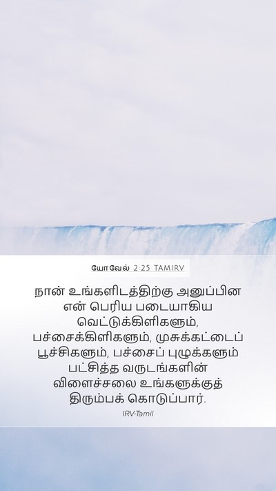 யோவேல் 2:25 TAMIRV Bible Verse Image