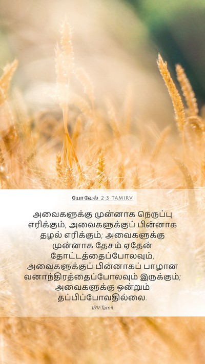 யோவேல் 2:3 TAMIRV Bible Verse Image
