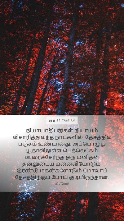 ரூத் 1:1 TAMIRV Mobile Phone Wallpaper - நியாயாதிபதிகள் - Mobile Bible Verse Wallpaper