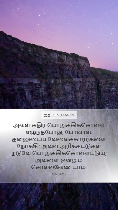ரூத் 2:15 TAMIRV Mobile Phone Wallpaper - அவள் கதிர் - Mobile Bible Verse Wallpaper