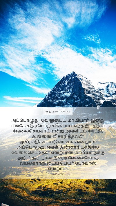 ரூத் 2:19 TAMIRV Mobile Phone Wallpaper - அப்பொழுது அவளுடைய - Mobile Bible Verse Wallpaper