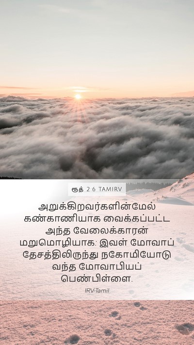 ரூத் 2:6 TAMIRV Mobile Phone Wallpaper -  - Mobile Bible Verse Wallpaper