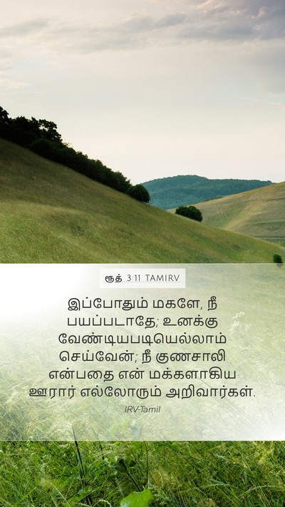 ரூத் 3:11 TAMIRV Bible Verse Image