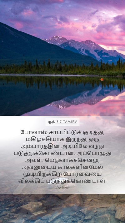 ரூத் 3:7 TAMIRV Bible Verse Image
