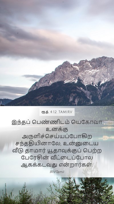 ரூத் 4:12 TAMIRV Bible Verse Image