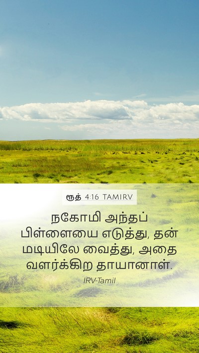 ரூத் 4:16 TAMIRV Mobile Phone Wallpaper - நகோமி அந்தப் - Mobile Bible Verse Wallpaper