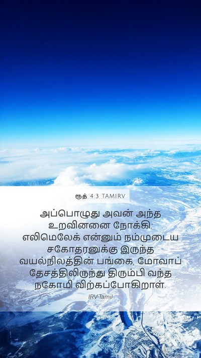 ரூத் 4:3 TAMIRV Bible Verse Image