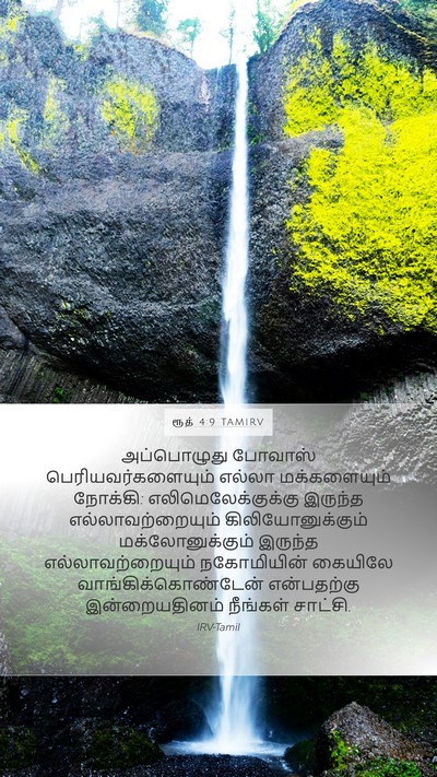 ரூத் 4:9 TAMIRV Mobile Phone Wallpaper - அப்பொழுது போவாஸ் - Mobile Bible Verse Wallpaper