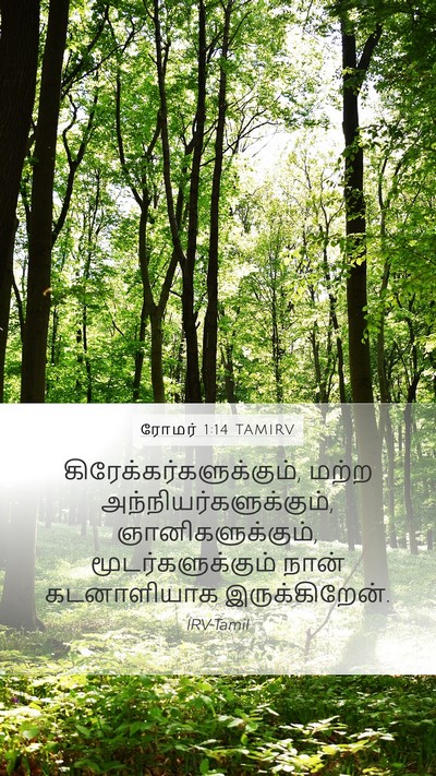 ரோமர் 1:14 TAMIRV Mobile Phone Wallpaper -  - Mobile Bible Verse Wallpaper