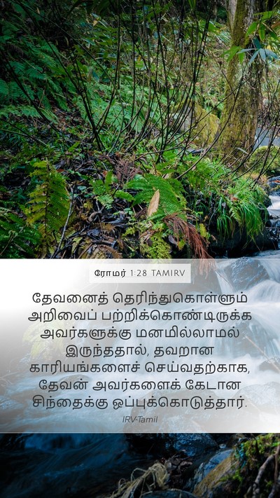 ரோமர் 1:28 TAMIRV Bible Verse Image
