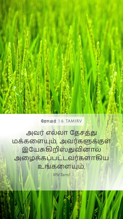 ரோமர் 1:6 TAMIRV Mobile Phone Wallpaper - அவர் எல்லா - Mobile Bible Verse Wallpaper