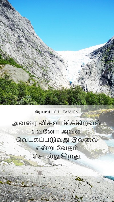 ரோமர் 10:11 TAMIRV Bible Verse Image