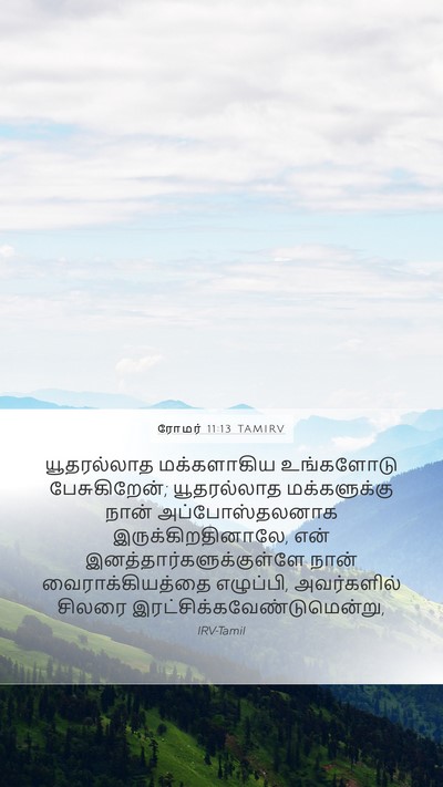 ரோமர் 11:13 TAMIRV Bible Verse Image