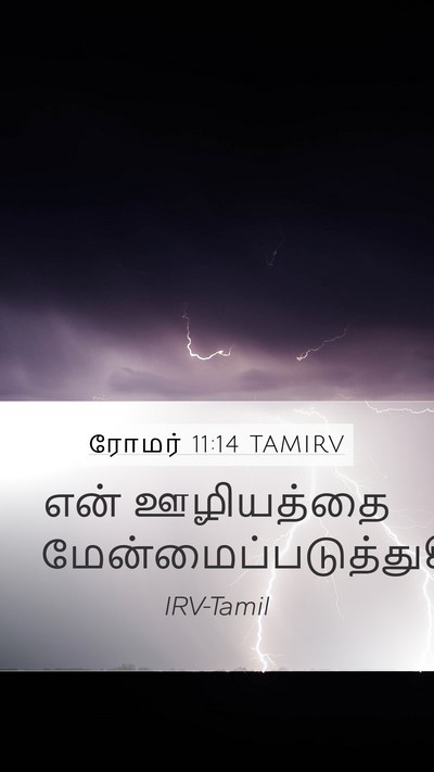 ரோமர் 11:14 TAMIRV Bible Verse Image