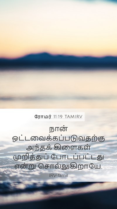 ரோமர் 11:19 TAMIRV Bible Verse Image