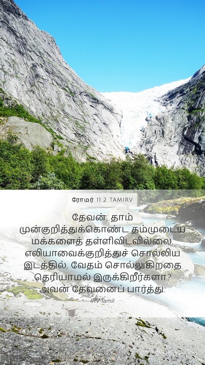 ரோமர் 11:2 TAMIRV Bible Verse Image