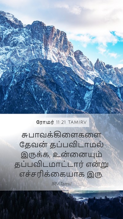 ரோமர் 11:21 TAMIRV Mobile Phone Wallpaper - சுபாவக்கிளைகளை - Mobile Bible Verse Wallpaper
