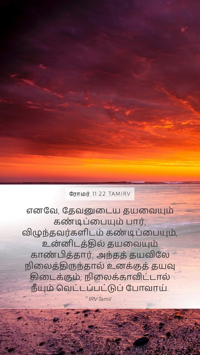ரோமர் 11:22 TAMIRV Bible Verse Image