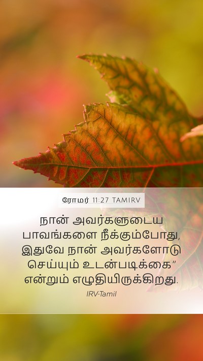 ரோமர் 11:27 TAMIRV Bible Verse Image