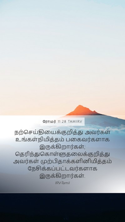 ரோமர் 11:28 TAMIRV Bible Verse Image