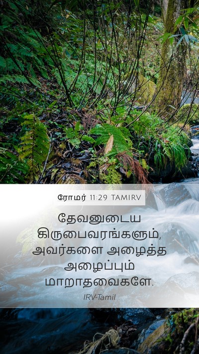 ரோமர் 11:29 TAMIRV Bible Verse Image