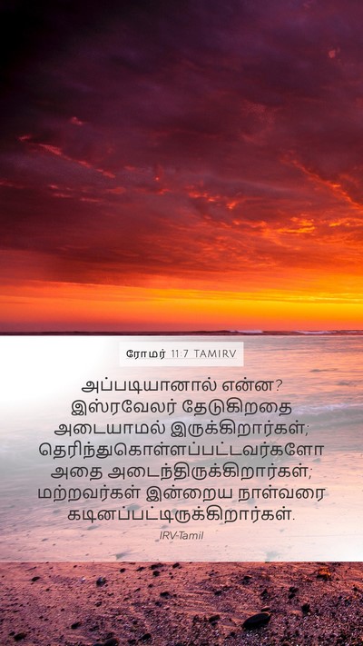 ரோமர் 11:7 TAMIRV Mobile Phone Wallpaper - அப்படியானால் - Mobile Bible Verse Wallpaper