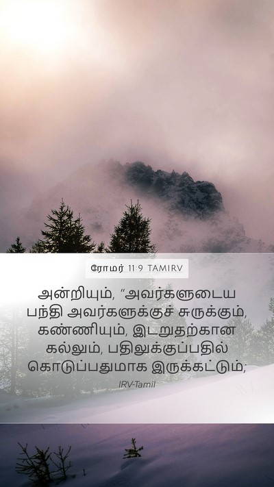 ரோமர் 11:9 TAMIRV Bible Verse Image