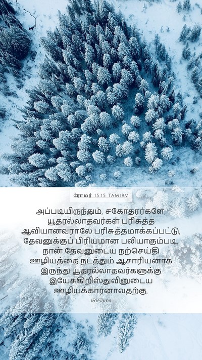 ரோமர் 15:15 TAMIRV Bible Verse Image