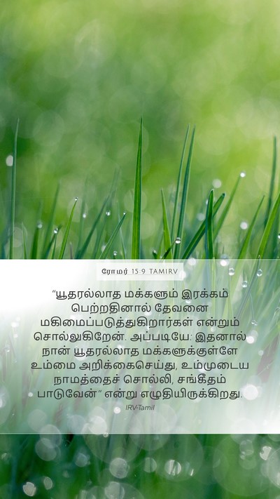 ரோமர் 15:9 TAMIRV Bible Verse Image