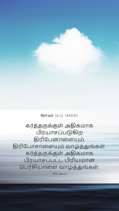 ரோமர் 16:12 TAMIRV Bible Verse Image