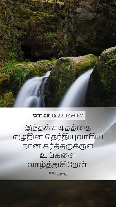 ரோமர் 16:22 TAMIRV Bible Verse Image