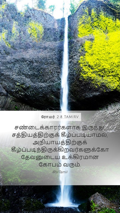 ரோமர் 2:8 TAMIRV Bible Verse Image